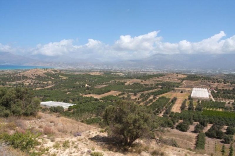 Kamilari Kreta, Kamilari, Baugrundstück mit Genehmigung 4.009qm mit Meerblick zum Verkauf Grundstück kaufen